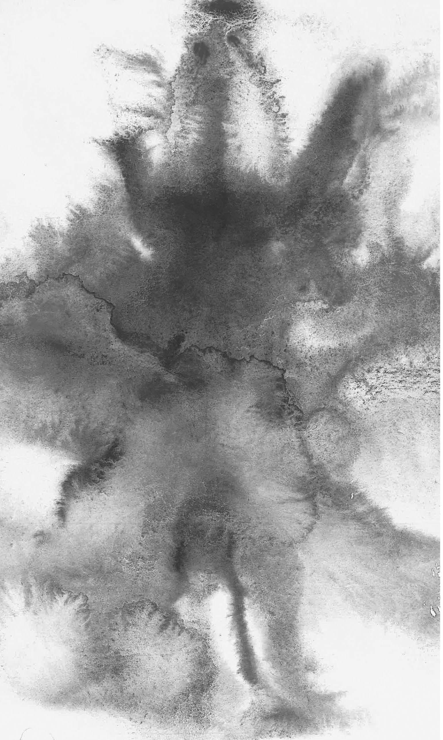 Jak dlouho se spí, když kvetou orchideje ukázka-2